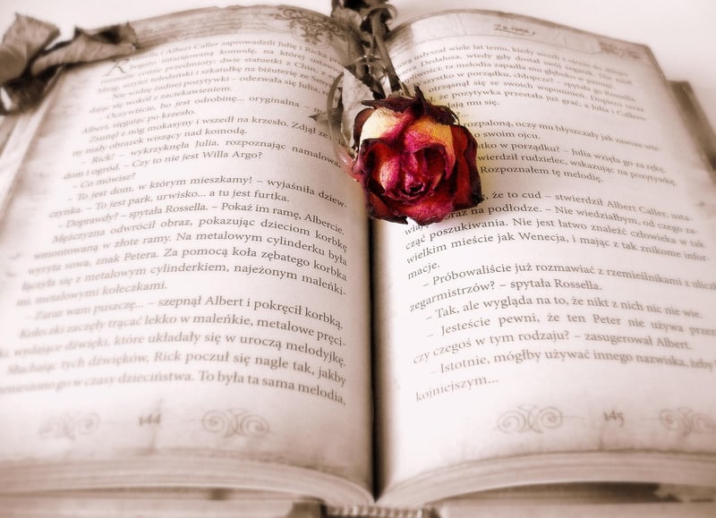 Chrono Literature Image